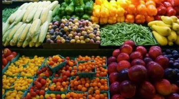 تحديثات الأسعار.. قائمة تكاليف الخضروات والفاكهة في الأسواق المصرية ليوم الجمعة